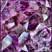 Crystal Bishop Photo 12