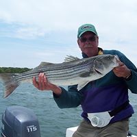 Todd Walker Photo 32