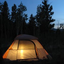 Susan Rust Photo 10