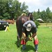 Brad Johnson Photo 7