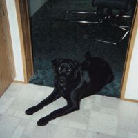 Angel Larson Photo 7