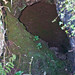 Mary Cave Photo 20