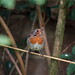 Robin Crawley Photo 21