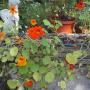 Sandy Hunt Photo 29