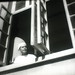 He Li Photo 39
