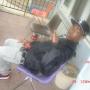 Gerald Phillips Photo 18