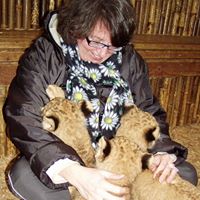 Kim Steagall Photo 5