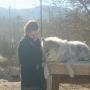 Lorie Chapman Photo 15