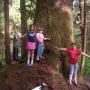 Julie Carson Photo 14