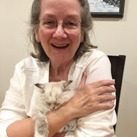 Jean Mitchell Photo 32