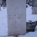 J Goodman Photo 28