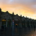 Dawn Sheffield Photo 5