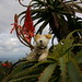 Bobbie Flowers Photo 8