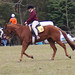 Mandy Cooper Photo 32