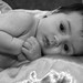 Tabitha Presley Photo 11