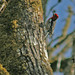 April Dorris Photo 10