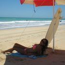 Shelley Youngblood Photo 7