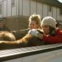 Heather Andrews Photo 7