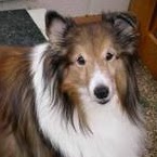 Debra Davidson Photo 5