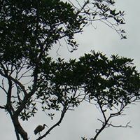 Louise Armstrong Photo 6