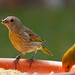 Kathleen Bird Photo 12