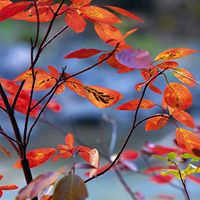 Dan Weis Photo 22