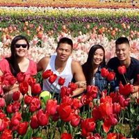 Mindy Trinh Photo 7