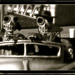 Walter Robertson Photo 13