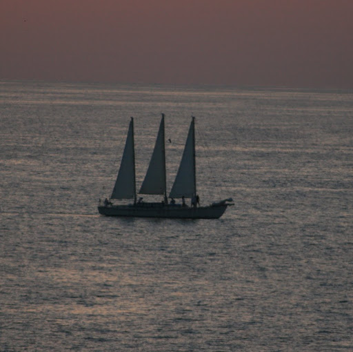 Chris Saunders Photo 34