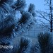 Cody Frost Photo 33