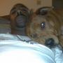Stephen Mason Photo 42