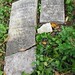 Joseph Luper Photo 5