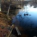 Ward Rudolph Photo 12