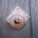 Mary Combs Photo 16