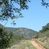 Lisa Tilson Photo 13