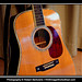 Patricia Huntington Photo 10
