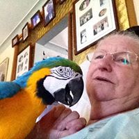 Barbara Wilkinson Photo 36