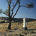 Joseph Nezperce Photo 7
