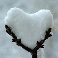 Debbie Graves Photo 7
