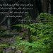 Christian Word Photo 21
