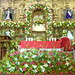 Felipe Angeles Photo 17