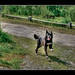 Carol Weed Photo 8
