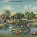 John Olmsted Photo 17