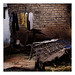 Conner Lang Photo 10