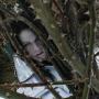Roger Shackelford Photo 14