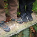 Anne Nolan Photo 34