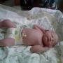 Jonathan Adams Photo 40