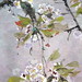Hua Li Photo 25