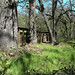 Joan Blackmon Photo 11
