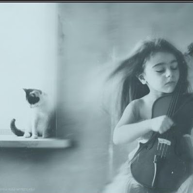Daniel Ruiz Photo 40